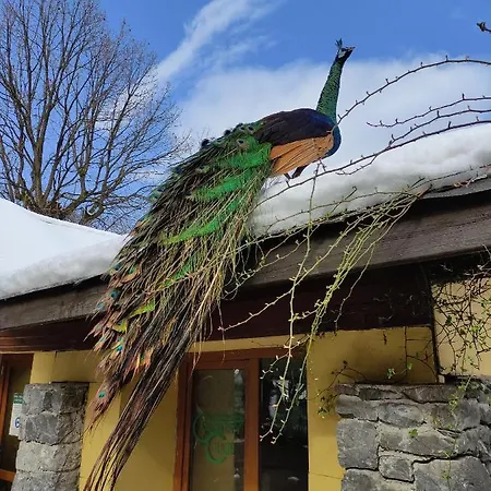 Polonezkoey Country Club & In The Wildlife Park! Üdülőközpont