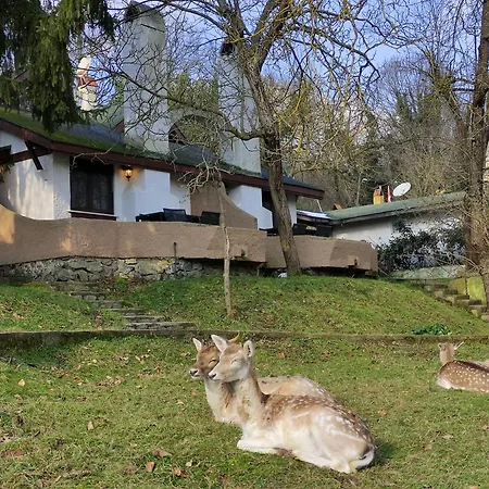 Polonezkoey Country Club & In The Wildlife Park! Istanbul