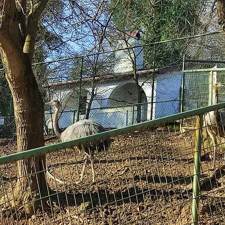 Ośrodek wypoczynkowy Polonezköy Country Club