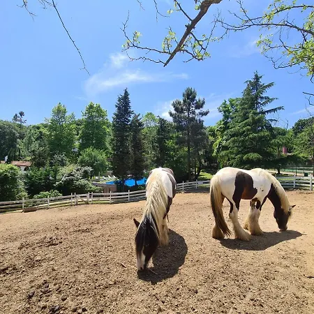 Polonezkoey Country Club & In The Wildlife Park! 3* Isztambul