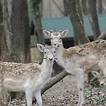 Polonezkoey Country Club & In The Wildlife Park! Istanbul
