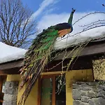 Polonezkoey Country Club & In The Wildlife Park! Resort