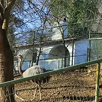 Polonezkoey Country Club & In The Wildlife Park! 3* Istanbul