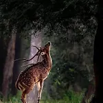Station touristique Polonezkoey Country Club & In The Wildlife Park! Istambul