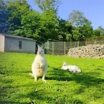 Resort Polonezkoey Country Club & In The Wildlife Park!