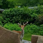 Resort Polonezkoey Country Club & In The Wildlife Park! Istanbul