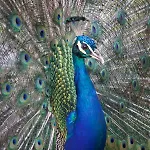 Station touristique Polonezkoey Country Club & In The Wildlife Park! 3*