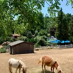 Resort Polonezkoey Country Club & In The Wildlife Park! 3*