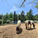 Polonezkoey Country Club & In The Wildlife Park! 3* Istambul