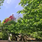 Polonezkoey Country Club & In The Wildlife Park! Istanbul