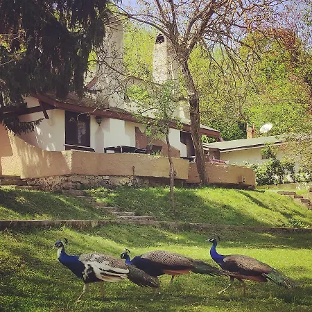 Polonezkoey Country Club & In The Wildlife Park!