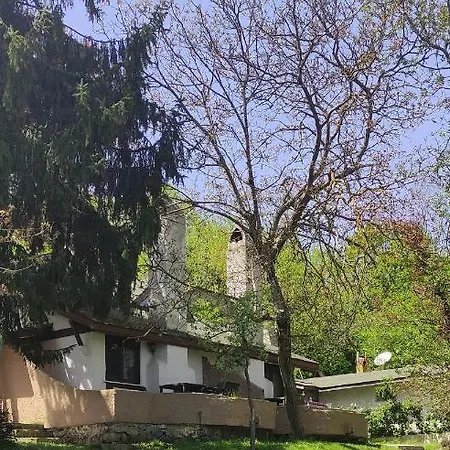 リゾート Polonezkoey Country Club & In The Wildlife Park! イスタンブール