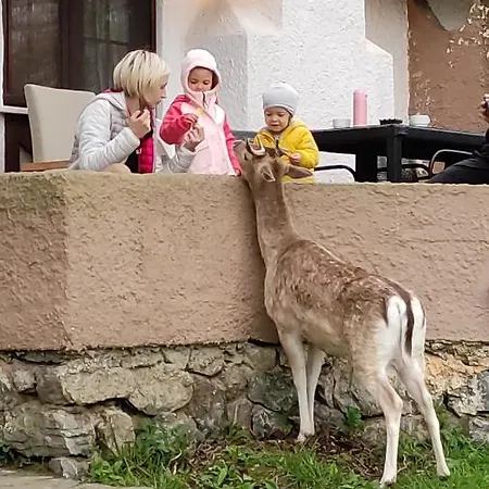 Polonezkoey Country Club & In The Wildlife Park! 3*