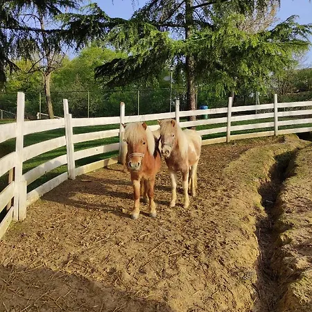 Rezort Polonezkoey Country Club & In The Wildlife Park! Istanbulská provincie