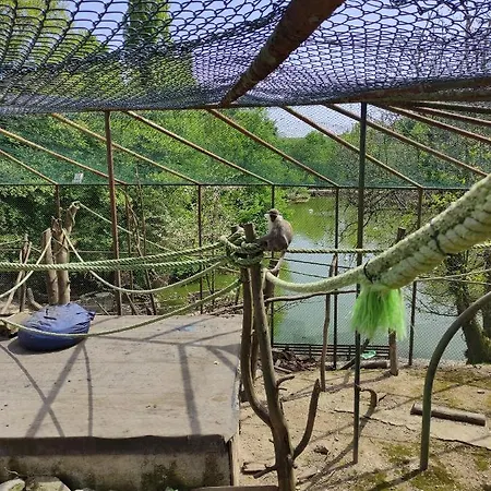 Polonezkoey Country Club & In The Wildlife Park! 3* イスタンブール