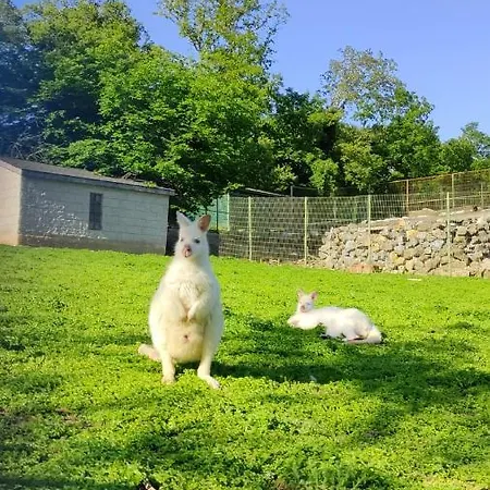 Feriested Polonezkoey Country Club & In The Wildlife Park!