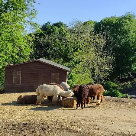 リゾート Polonezkoey Country Club & In The Wildlife Park! 3*