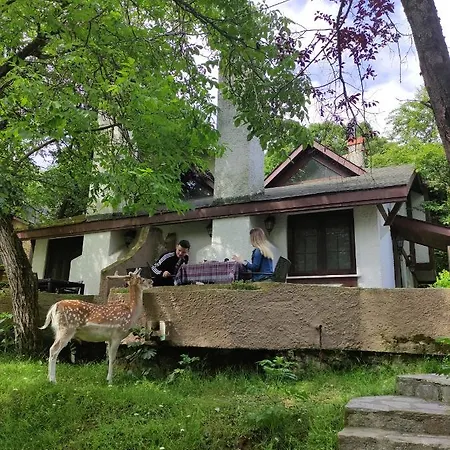 Polonezkoey Country Club & In The Wildlife Park! リゾート イスタンブール