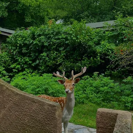 リゾート Polonezkoey Country Club & In The Wildlife Park! イスタンブール