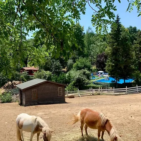 Feriested Polonezkoey Country Club & In The Wildlife Park! 3*