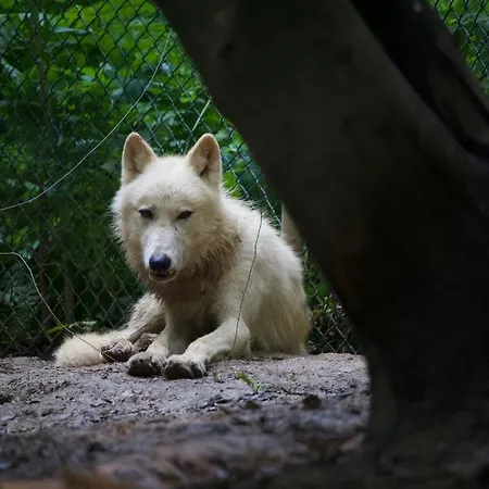 Polonezkoey Country Club & In The Wildlife Park!