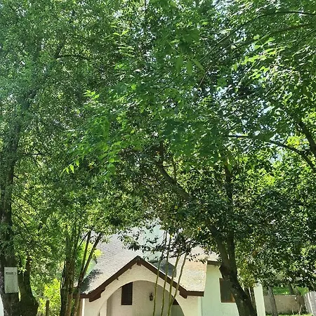 Polonezkoey Country Club & In The Wildlife Park!