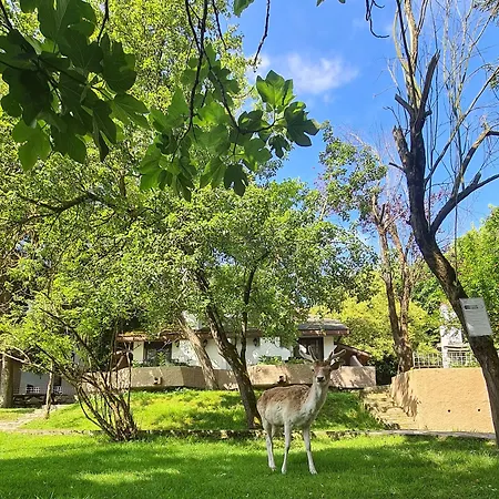 Polonezkoey Country Club & In The Wildlife Park! 3*