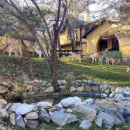 度假村 Polonezkoey Country Club & In The Wildlife Park! 伊斯坦布尔