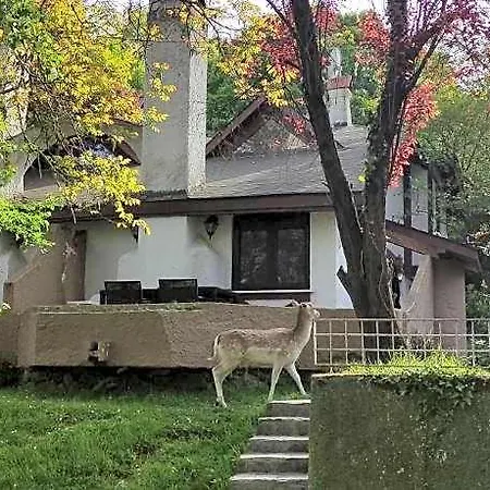 Polonezkoey Country Club & In The Wildlife Park! 度假村 伊斯坦布尔