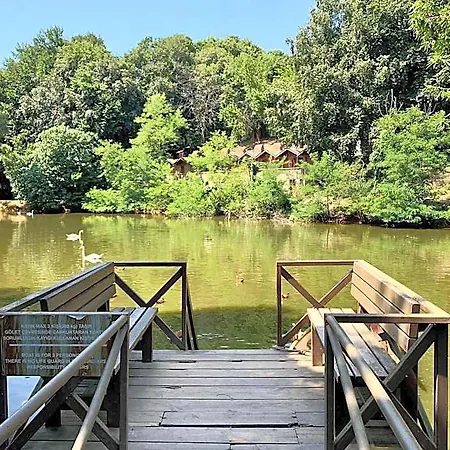 Polonezkoey Country Club & In The Wildlife Park! Resort İstanbul