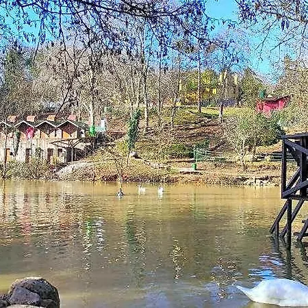 Resort Polonezkoey Country Club & In The Wildlife Park!