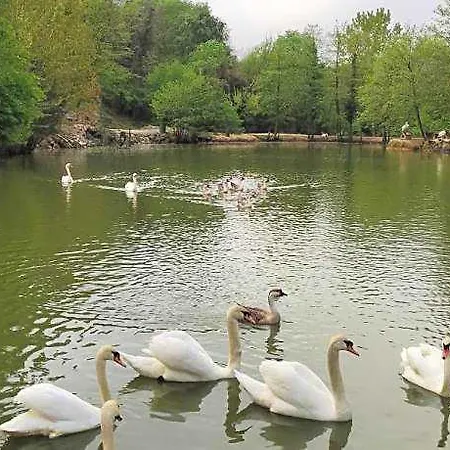 Resort Polonezkoey Country Club & In The Wildlife Park!