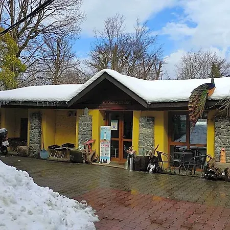 Resort Polonezkoey Country Club & In The Wildlife Park! İstanbul