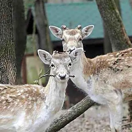 Resort Polonezkoey Country Club & In The Wildlife Park! Istanboel