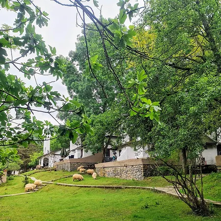 Polonezkoey Country Club & In The Wildlife Park! 3*