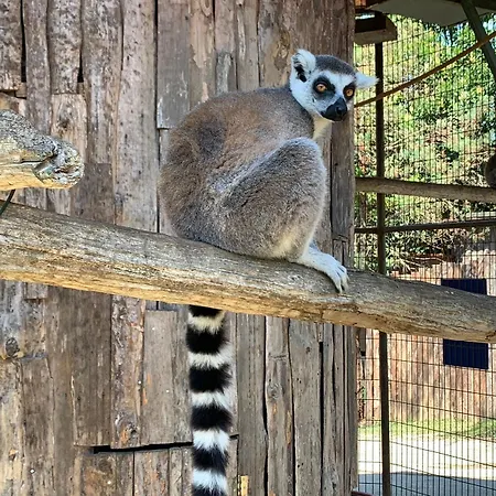 Polonezkoey Country Club & In The Wildlife Park! 3*