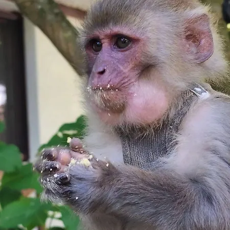 Polonezkoey Country Club & In The Wildlife Park! Rezort Istanbulská provincie