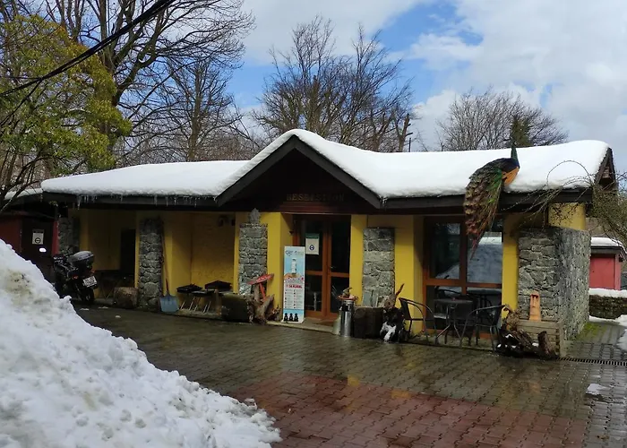 Polonezkoey Country Club & In The Wildlife Park! Курортный комплекс Стамбул