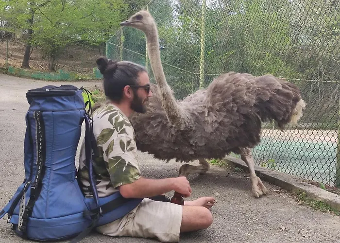 Polonezkoey Country Club & In The Wildlife Park! 3* Стамбул