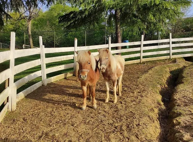 Курортный комплекс Polonezkoey Country Club & In The Wildlife Park! Стамбул