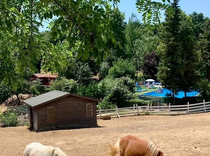 Курортный комплекс Polonezkoey Country Club & In The Wildlife Park! 3*