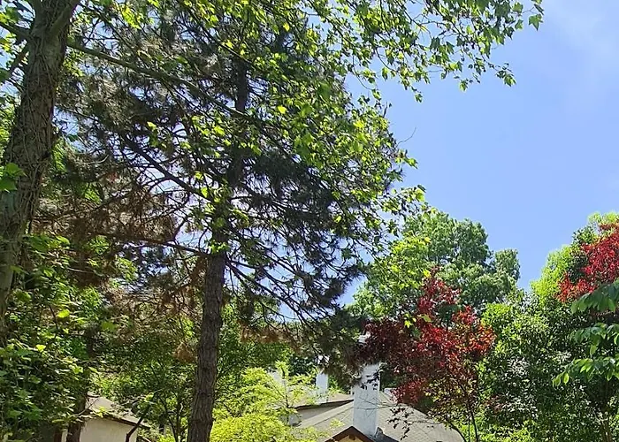 Курортный комплекс Polonezkoey Country Club & In The Wildlife Park! Стамбул