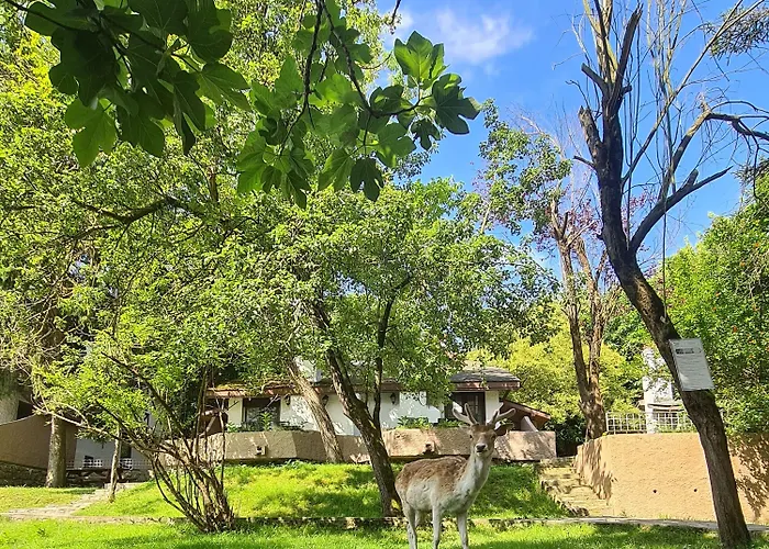 Polonezkoey Country Club & In The Wildlife Park! 3*