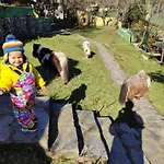 Polonezkoey Country Club & In The Wildlife Park! 度假村