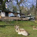 Polonezkoey Country Club & In The Wildlife Park! 伊斯坦布尔