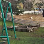 Polonezkoey Country Club & In The Wildlife Park! 度假村 伊斯坦布尔