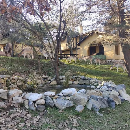 Polonezkoey Country Club & In The Wildlife Park! אתר נופש 3*