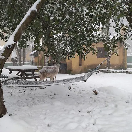 Polonezkoey Country Club & In The Wildlife Park! 3* Κωνσταντινούπολη