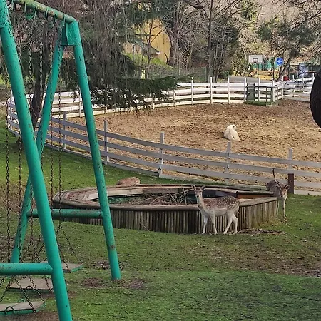 Polonezkoey Country Club & In The Wildlife Park! Resort Istanboel