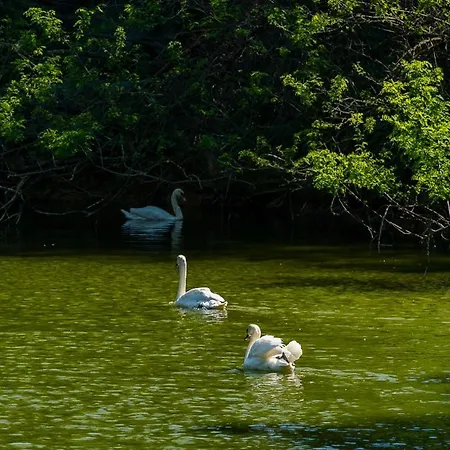 Polonezkoey Country Club & In The Wildlife Park! Üdülőközpont